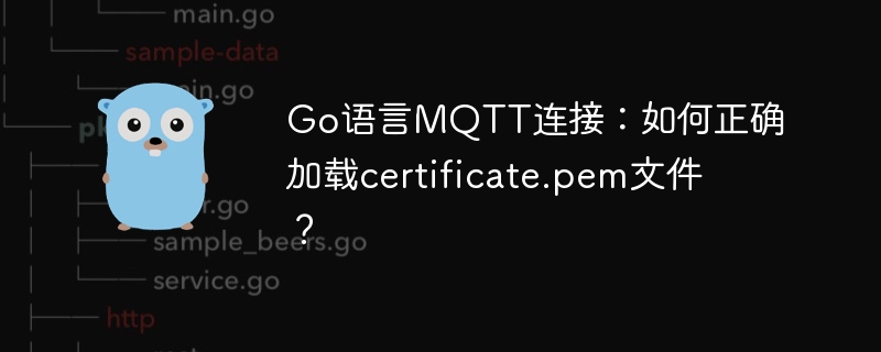 Go语言MQTT连接:如何正确加载certificate.pem文件?