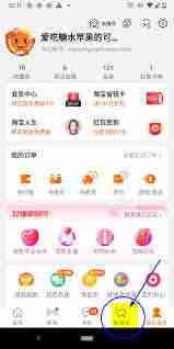 淘宝帮我付功能怎么使用