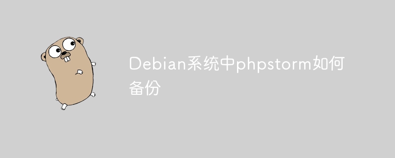 Debian系统中phpstorm如何备份