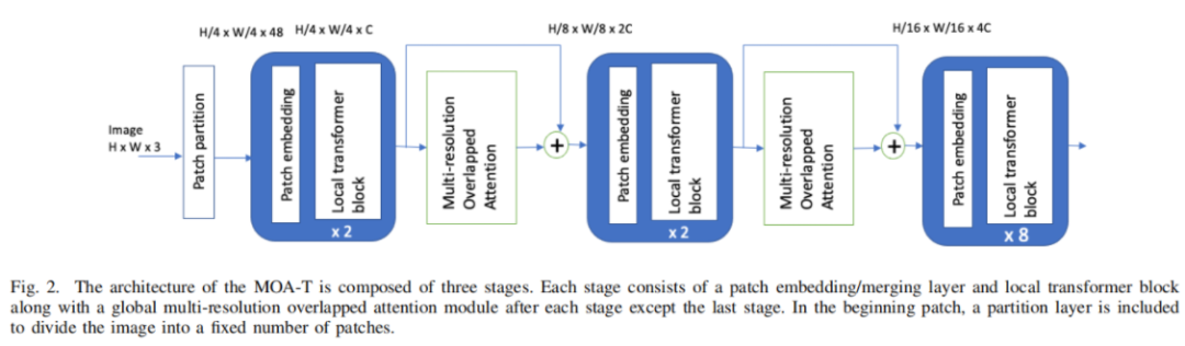 MoA-Transformer | Swin-Transformer应该如何更好地引入全局信息？