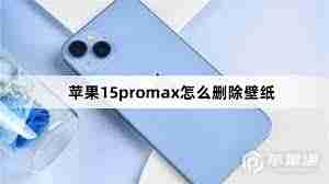 苹果15promax怎么删除壁纸