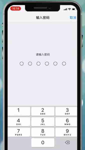 苹果手机设置面容id不能用怎么处理？处理面容id不能用的方法说明
