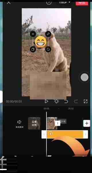 剪映贴纸跟随怎么设置