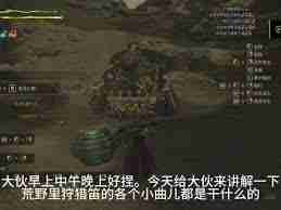 怪物猎人荒野狩猎笛旋律效果如何-怪物猎人荒野狩猎笛旋律功能详解