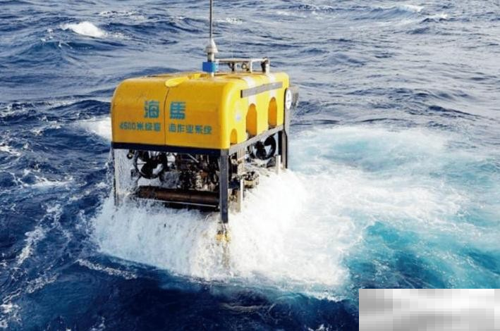 我国南海的海马冷泉之所以得名是因为