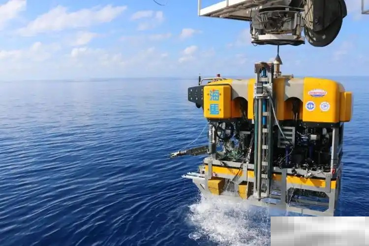 我国南海的海马冷泉之所以得名是因为