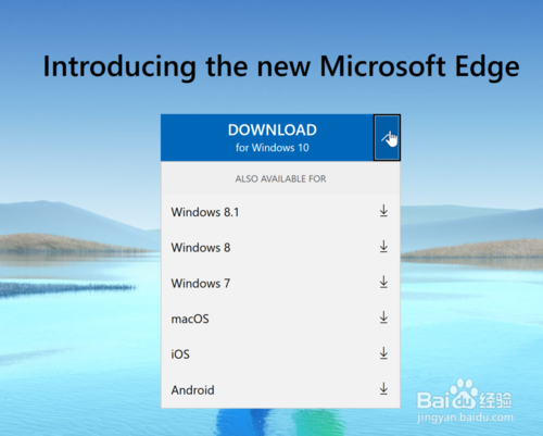 edge如何升级为最新版 新版edge更新方法