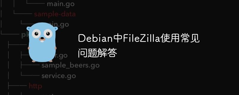 Debian中FileZilla使用常见问题解答