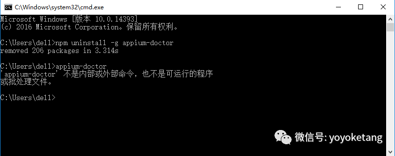 Appium+python自动化54-appium-doctor
