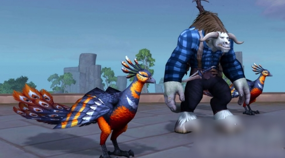 魔兽世界焰羽孔雀怎么获得 11.1焰羽孔雀获取方法