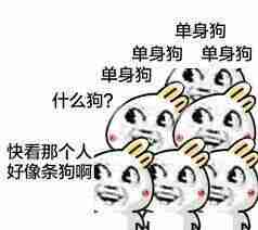 情人节单身狗表情包