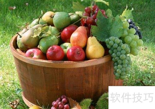 瘦人增肌攻略：科学增肥方法全解析
