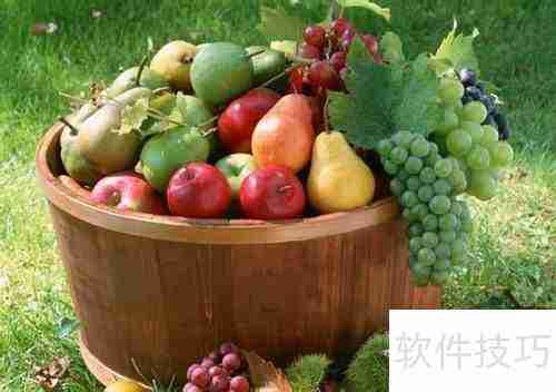 瘦人如何科学增肥?健美入门指南告诉你答案