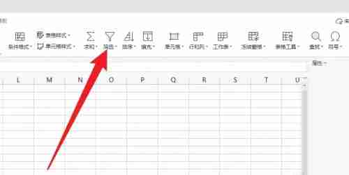 WPS怎么筛选出要的内容？WPS筛选设置方法