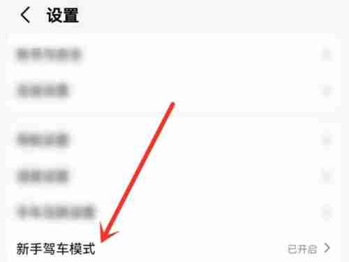 高德地图新手模式怎么关