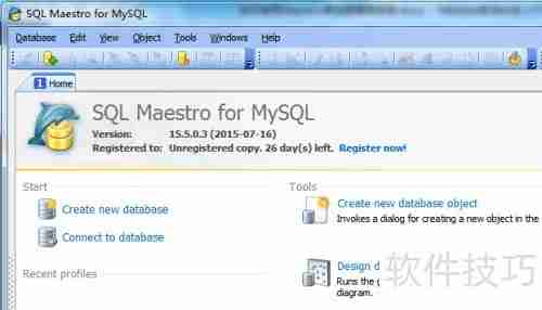 用Maestro生成HTML格式的数据库报告