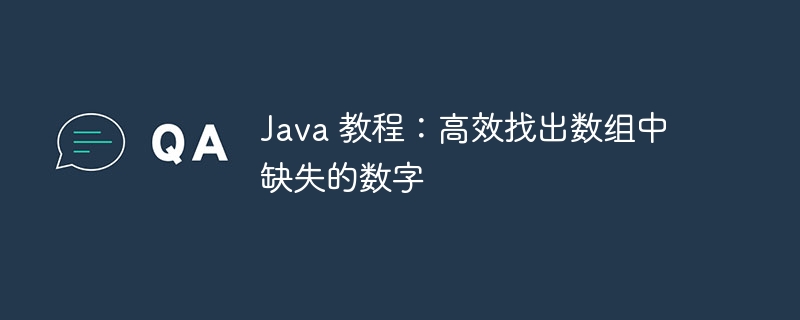 Java 教程：高效找出数组中缺失的数字