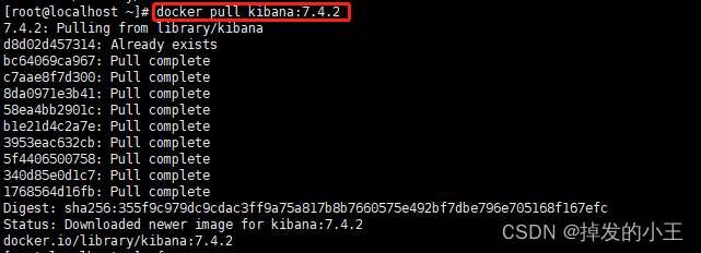 使用Docker安装ElasticSearch和可视化界面Kibana【图文教学】