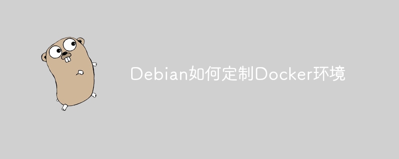 Debian如何定制Docker环境