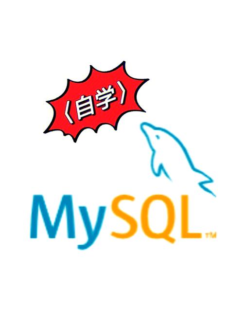 MySQL中删除操作详解 DELETE语句在数据清理中的实际应用
