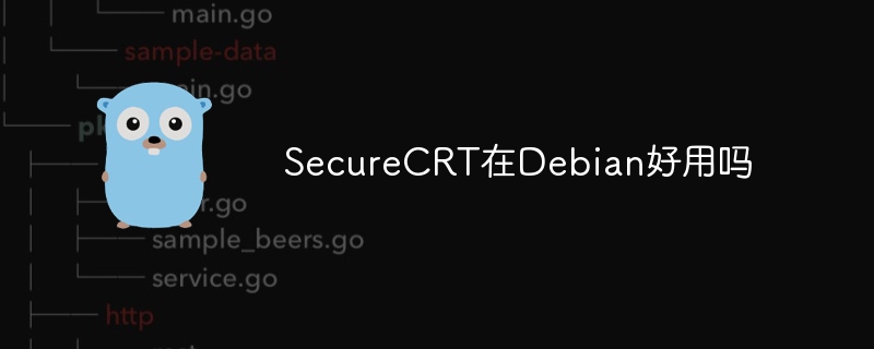 SecureCRT在Debian好用吗