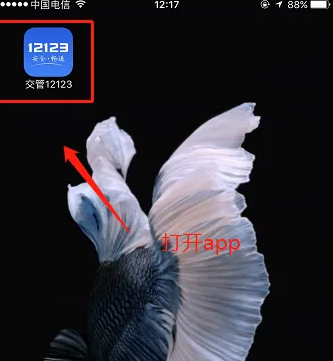 交管12123恢复驾驶资格流程详解