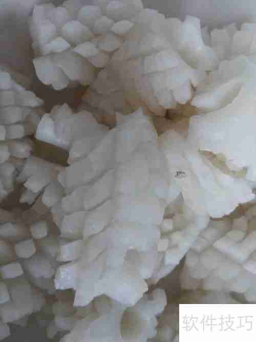 健美食谱：鱿鱼面——美味与健康的完美结合