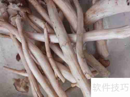 健美食谱：鱿鱼面——美味与健康的完美结合