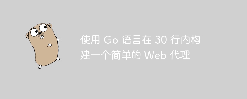 使用 Go 语言在 30 行内构建一个简单的 Web 代理