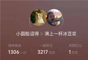 网易云一起听歌记录怎么看 网易云一起听歌记录怎么清除