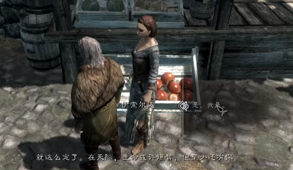 上古卷轴5怎么结婚-结婚攻略