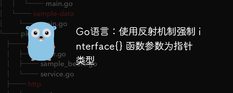 Go语言：使用反射机制强制 interface{} 函数参数为指针类型