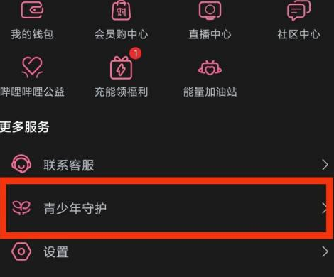 哔哩哔哩青少年守护在什么位置 具体介绍