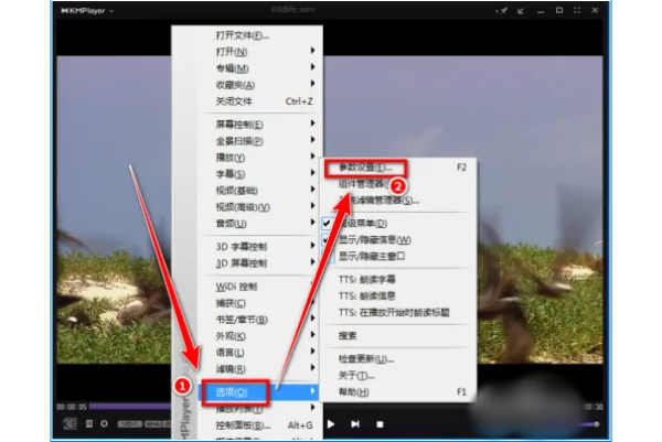 kmplayer plus怎么导入字幕?kmplayer plus导入字幕的操作流程