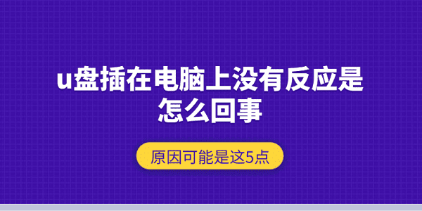 U盘插电脑无反应？可能原因有这5点