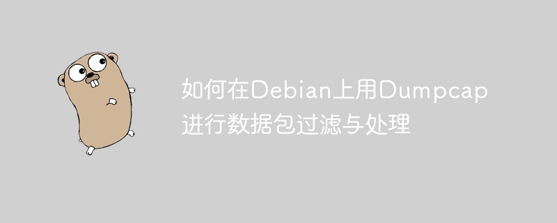 如何在Debian上用Dumpcap进行数据包过滤与处理