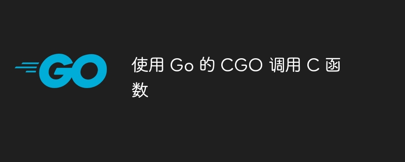 使用 Go 的 CGO 调用 C 函数