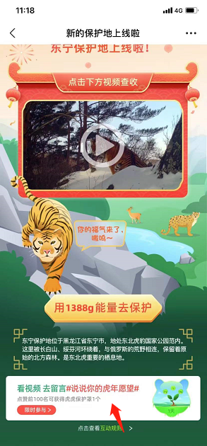 蚂蚁森林虎虎保护罩怎么获得