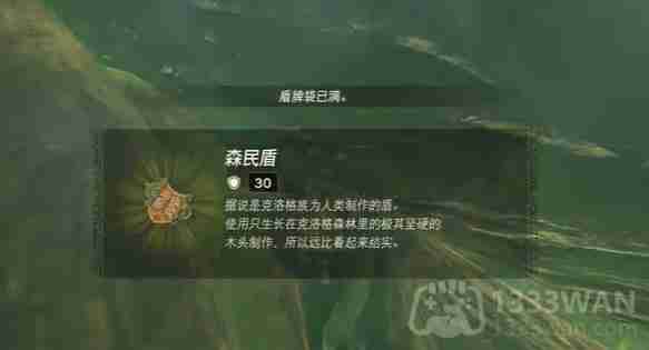 塞尔达传说纳末敏的寻宝游戏任务怎么做-纳末敏的寻宝游戏任务攻略