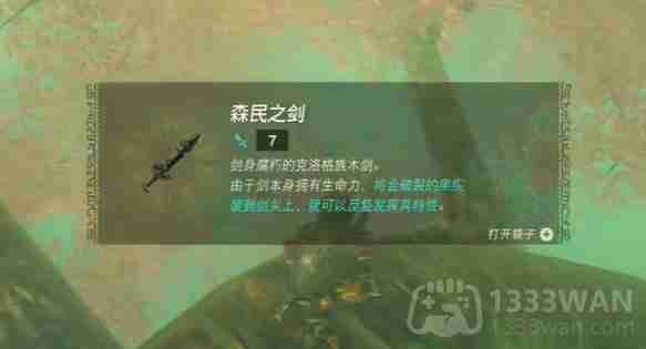 塞尔达传说纳末敏的寻宝游戏任务怎么做-纳末敏的寻宝游戏任务攻略