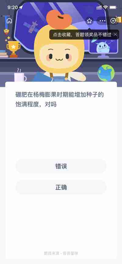 硼肥在杨梅膨果时期能增加种子的饱满程度对吗