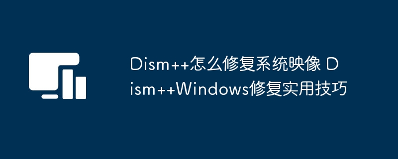Dism++怎么修复系统映像 Dism++Windows修复实用技巧