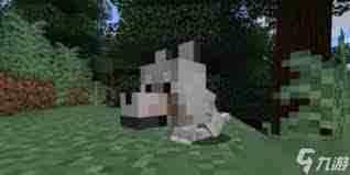 我的世界中如何将狗传送到指定位置-我的世界狗指定位置传送方法