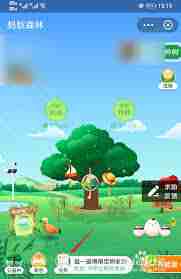 蚂蚁森林如何获得粉红树