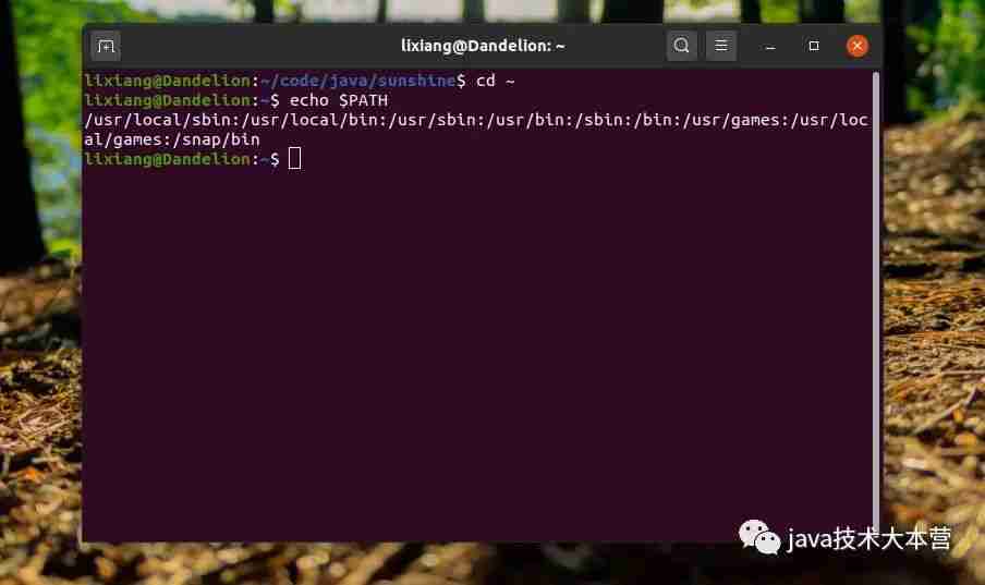 java学习应用篇|使用环境变量做一些工具