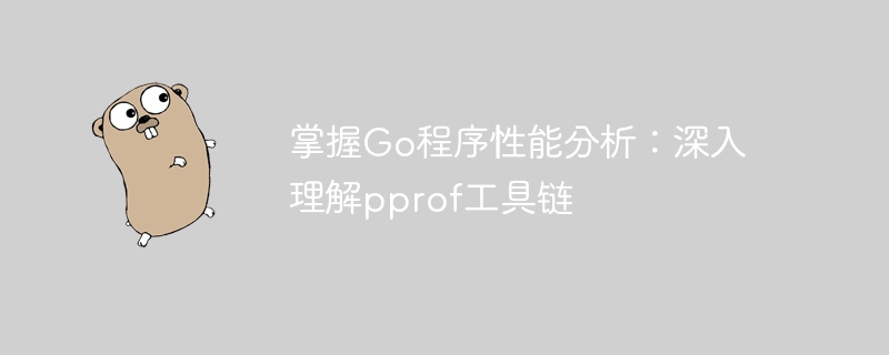 掌握Go程序性能分析：深入理解pprof工具链