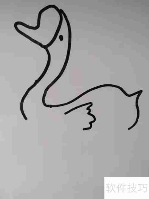如何画天鹅？简笔画教程教你轻松绘制优雅天鹅
