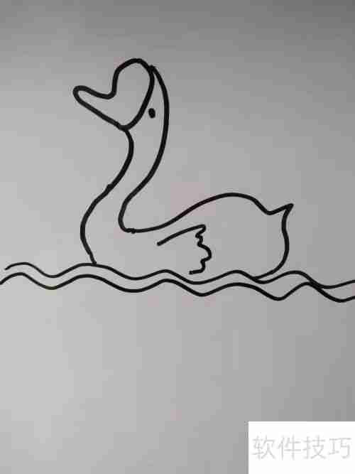 如何画天鹅？简笔画教程教你轻松绘制优雅天鹅
