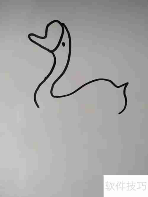 如何画天鹅？简笔画教程教你轻松绘制优雅天鹅