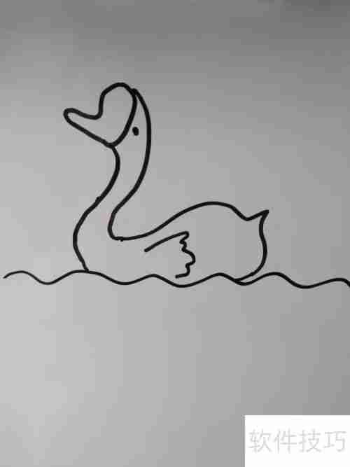 如何画天鹅？简笔画教程教你轻松绘制优雅天鹅